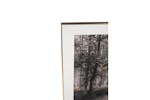Monochrome Forest Trail Print with Black Frame