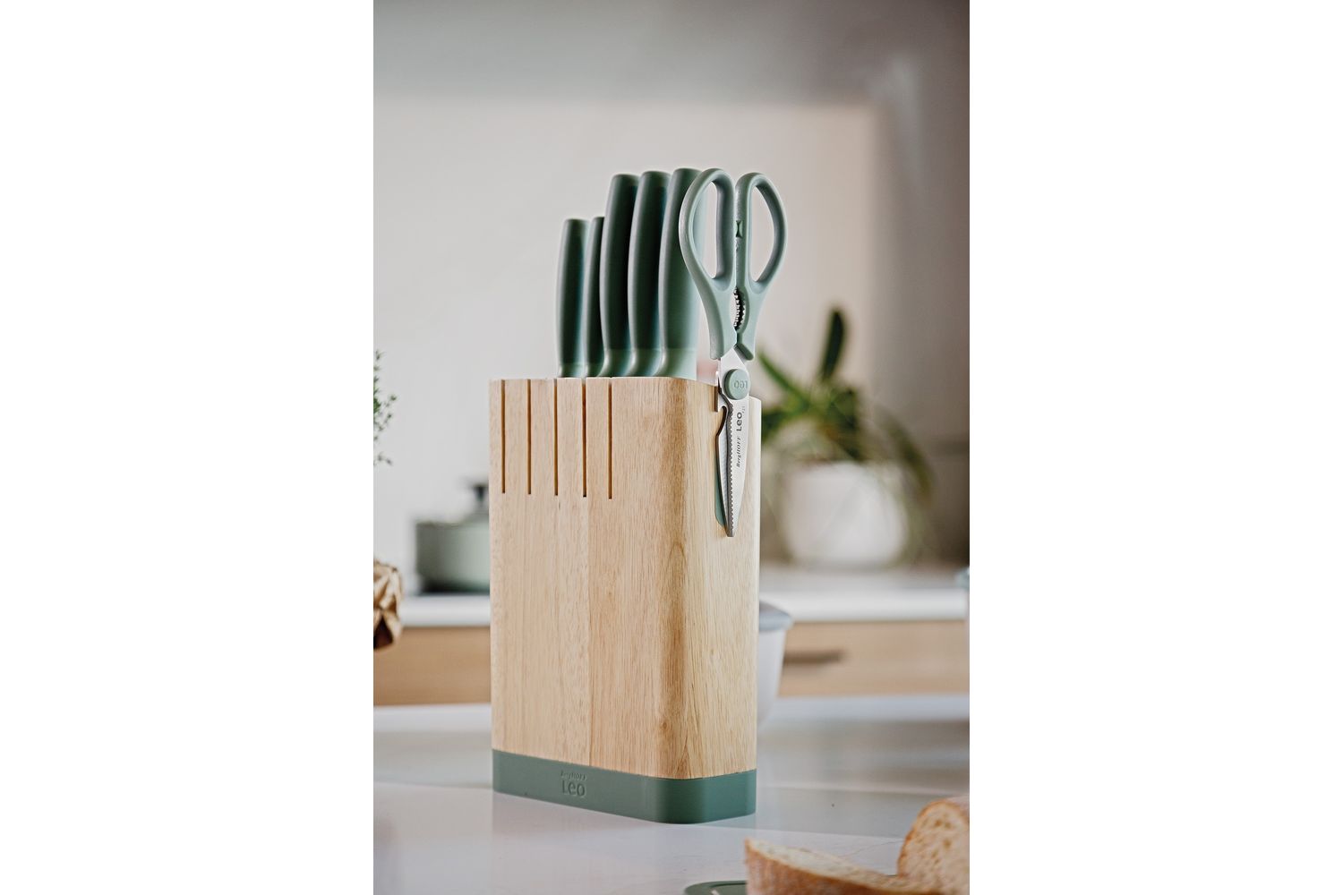 Berghoff 6 Piece Knife Block Set | Stainless Steel Knives | Forest Green | Wooden Block