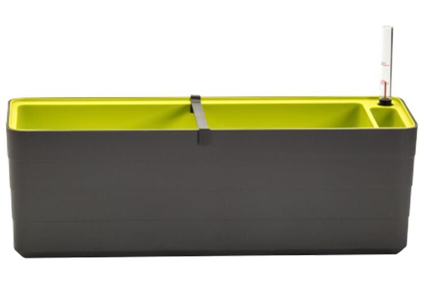 Plastia Berberis Flower Box | Grey & Green | 60cm