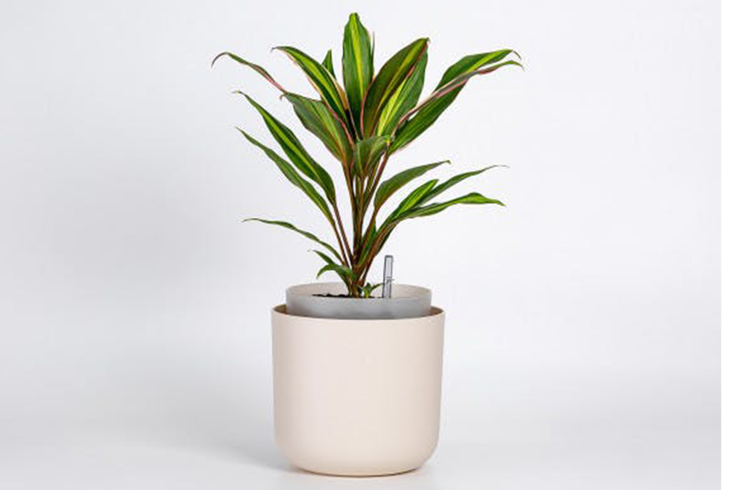 Plastia Tolita Flower Pot | Beige | 19cm