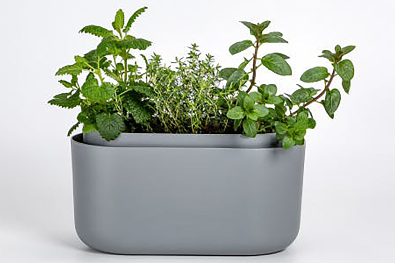 Plastia Tolita Flower Box | Grey | 16.6cm