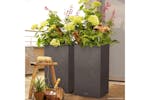 Lechuza Planter Canto Stone 40 High All-in-one Graphite Black