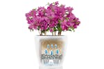 Lechuza Planter Classico Color 28 All-in-one White High Gloss 13190