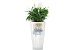 Lechuza Planter Rondo 32 All-in-one High-gloss White 15780