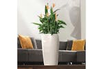 Lechuza Planter Rondo 32 All-in-one High-gloss White 15780