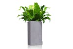 Lechuza Planter Canto Stone 30 High All-in-one Stone Grey