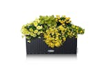 Lechuza Planter Balconera Cottage 50 All-in-one Granite