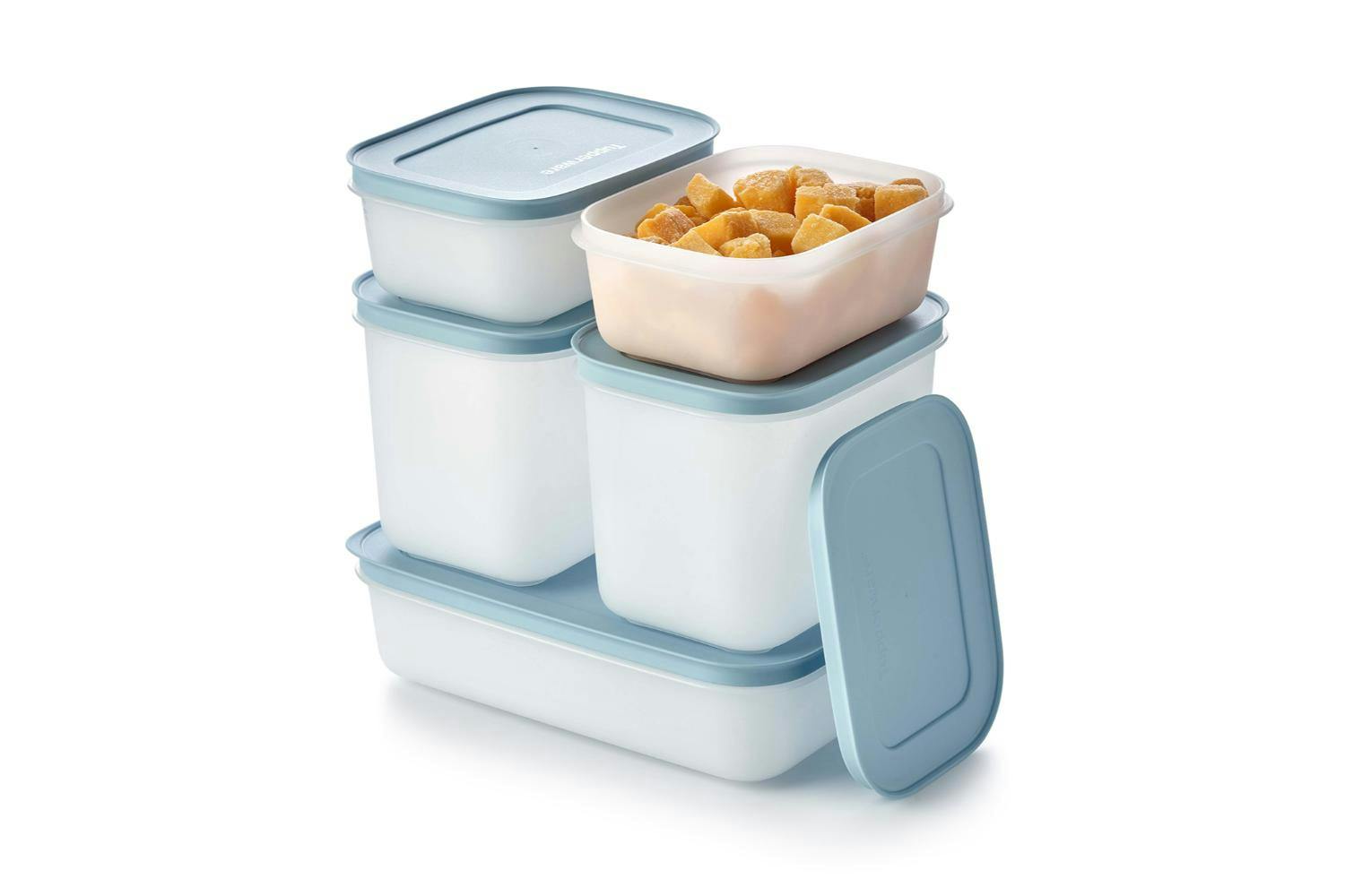 Tupperware Essentials Freezer Mates Starter Set | 5 Pieces