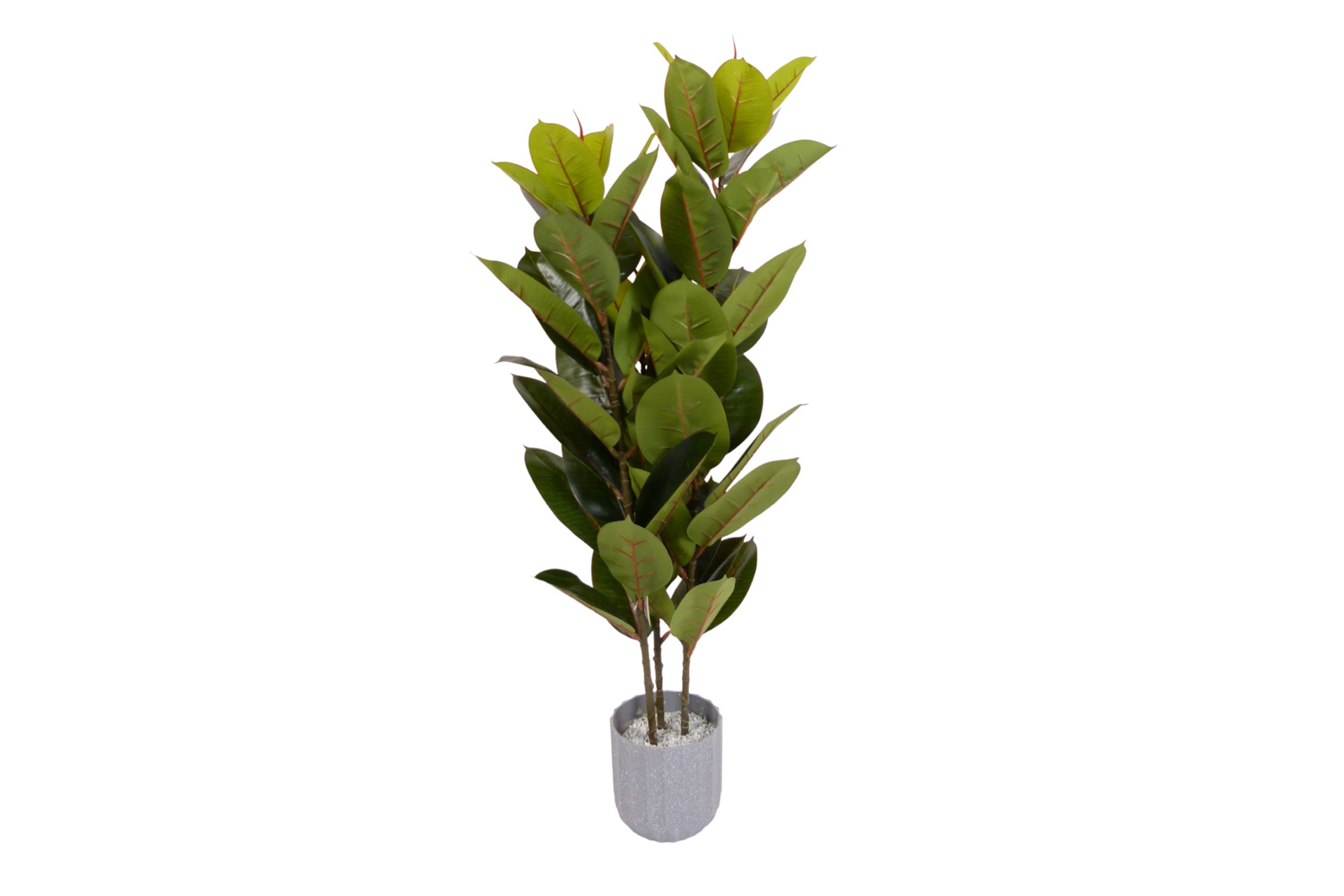 Artificial Rubber Tree | 120 cm