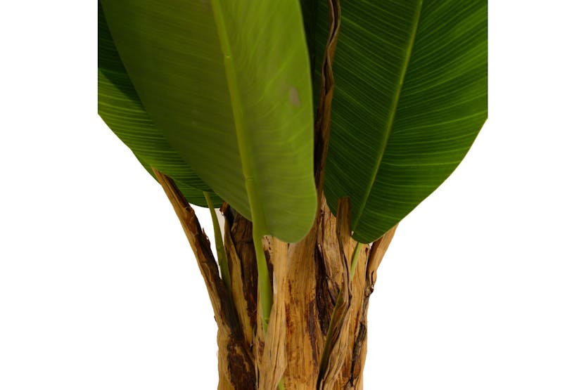 Artificial Banana Tree | 120 cm