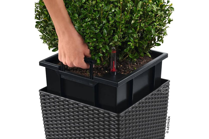 Lechuza 442087 Planter Cube Cottage 50 All-in-one Granite