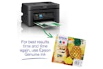 Epson WorkForce WF-2930DWF All-in-One Multifunction Printer | Black