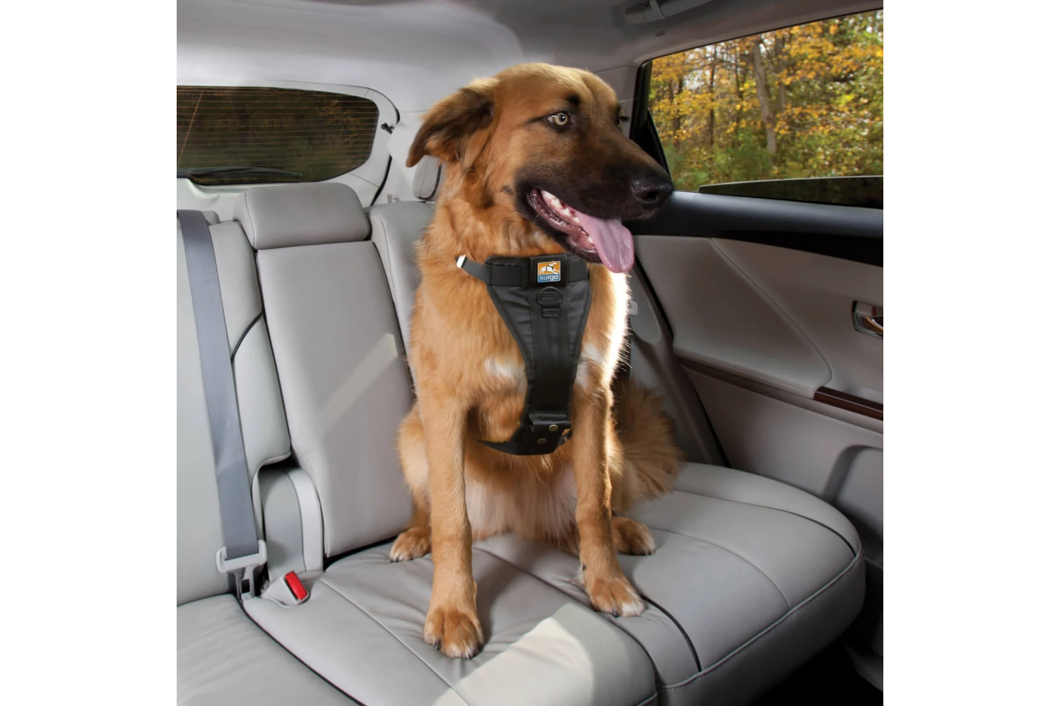 Kurgo KO2581 Harness | Black | Large