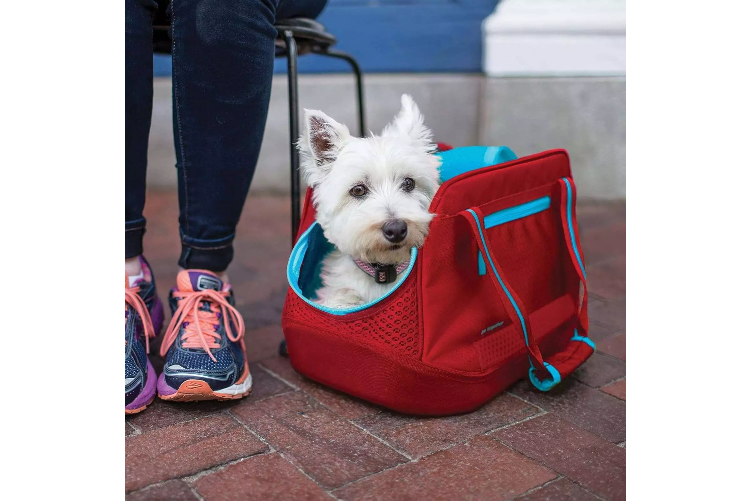 Kurgo KO9153 Explorer Carrier | Red