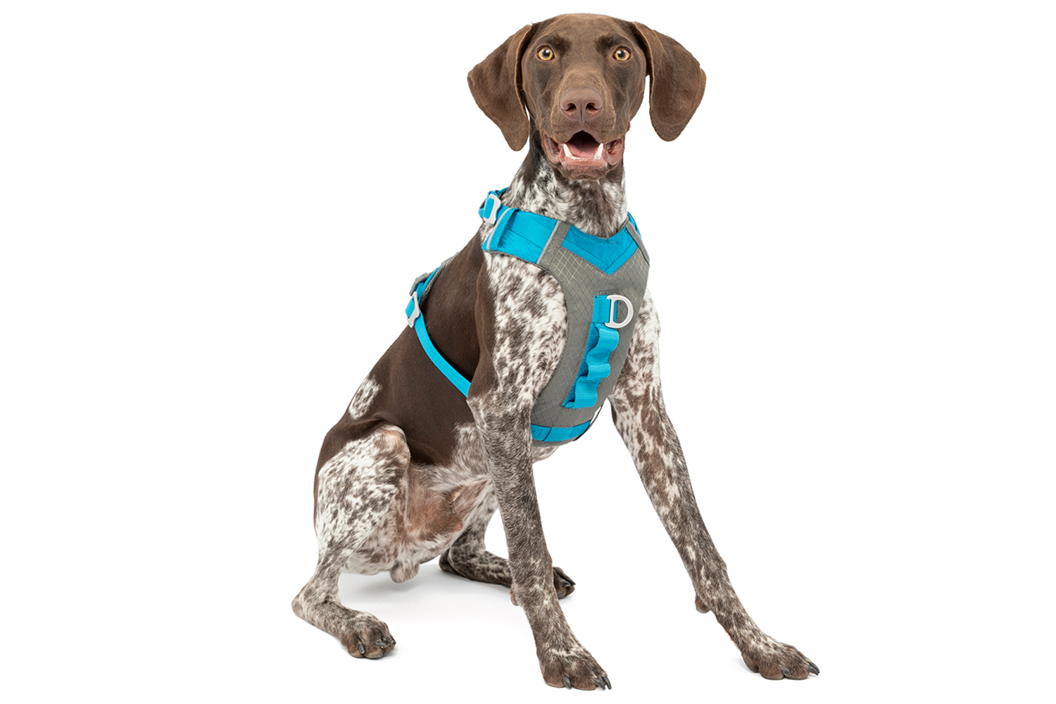 Kurgo KO9368 Journey Air Harness | Blue | XL