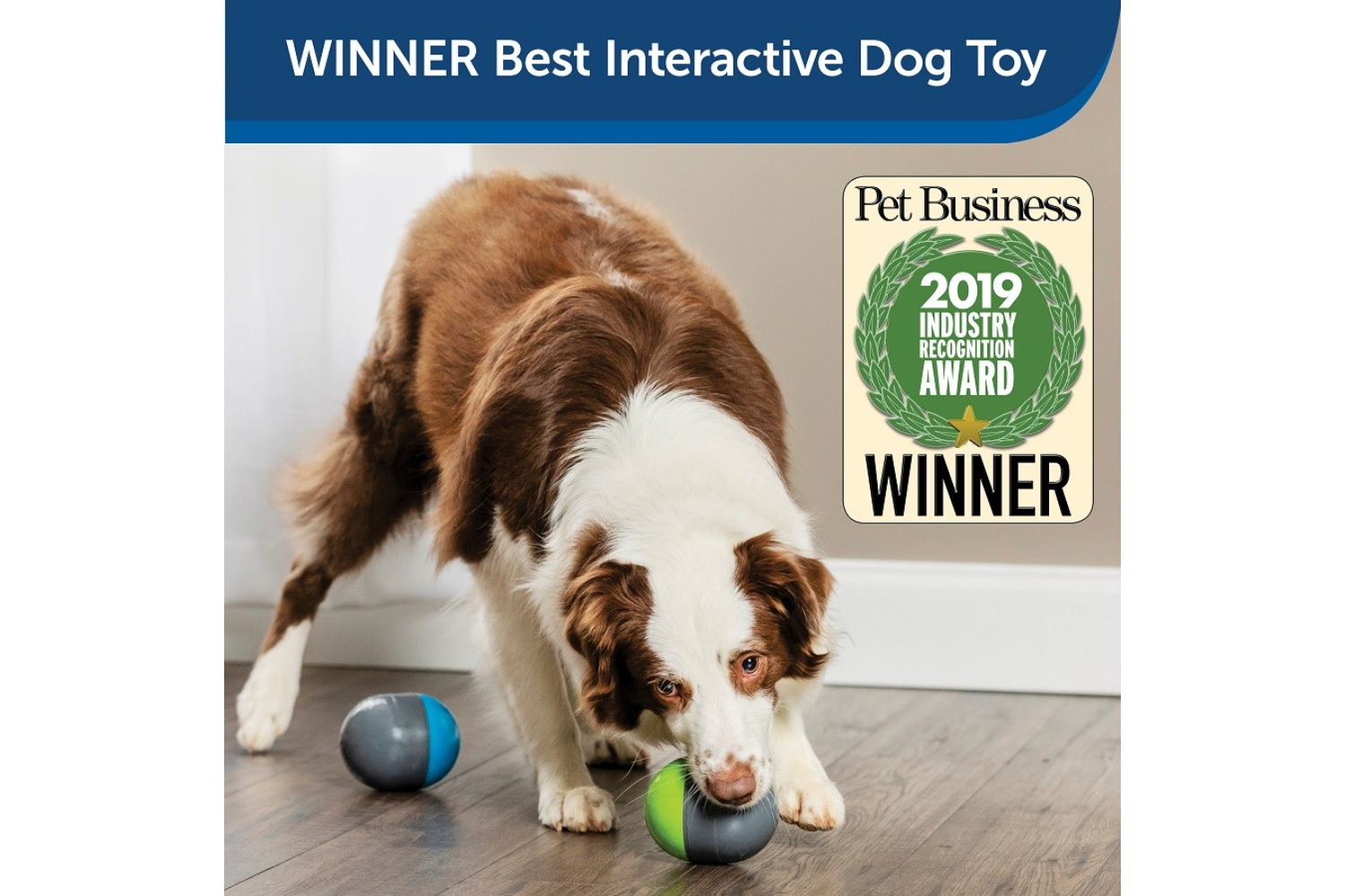 Petsafe PTY19-16713 Ricochet Electronic Dog Toys