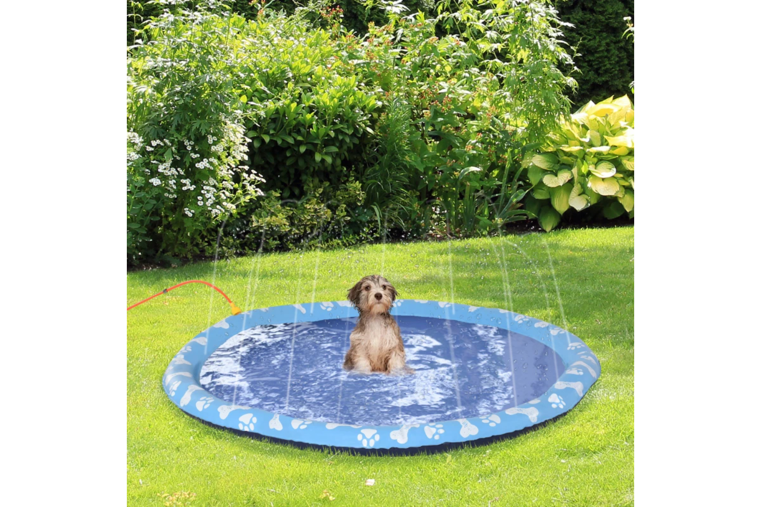 PawHut Outdoor Pet Splash Sprinkler Pad | Blue