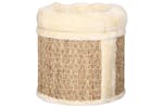 Vidaxl 170968 Cat House With Luxury Cushion 33 Cm Seagrass