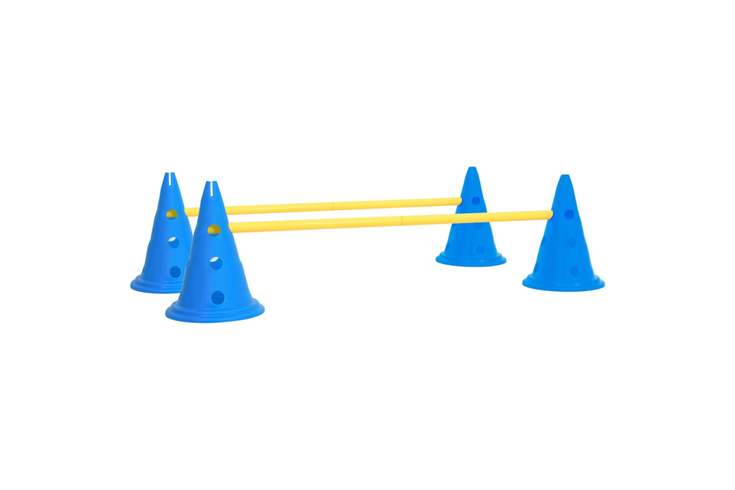 vidaXL 150952 Dog Activity Obstacle Set Blue And Yellow