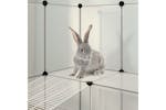Vidaxl 340574 Small Animal Cage Transparent 142x74x93 Cm Pp And Steel
