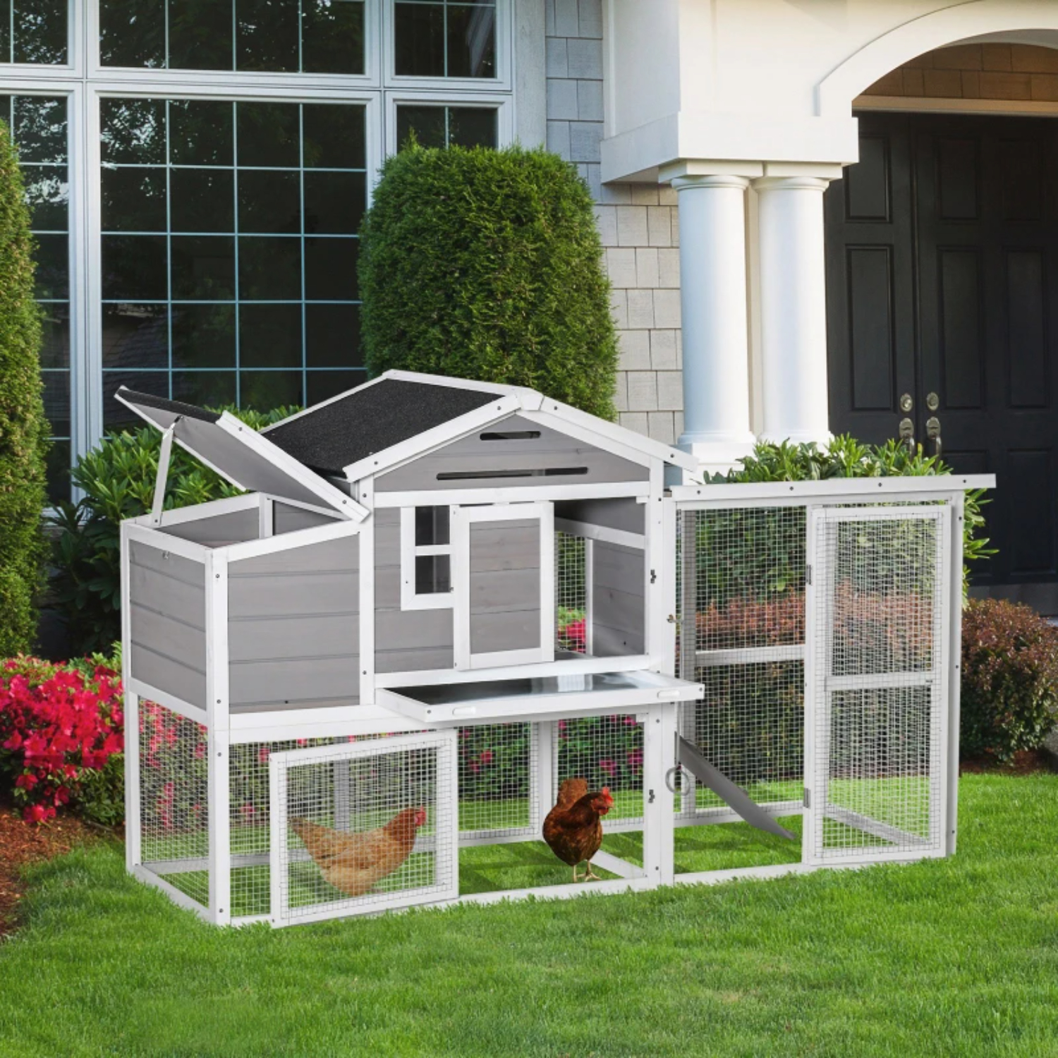 Chicken Coops Ireland