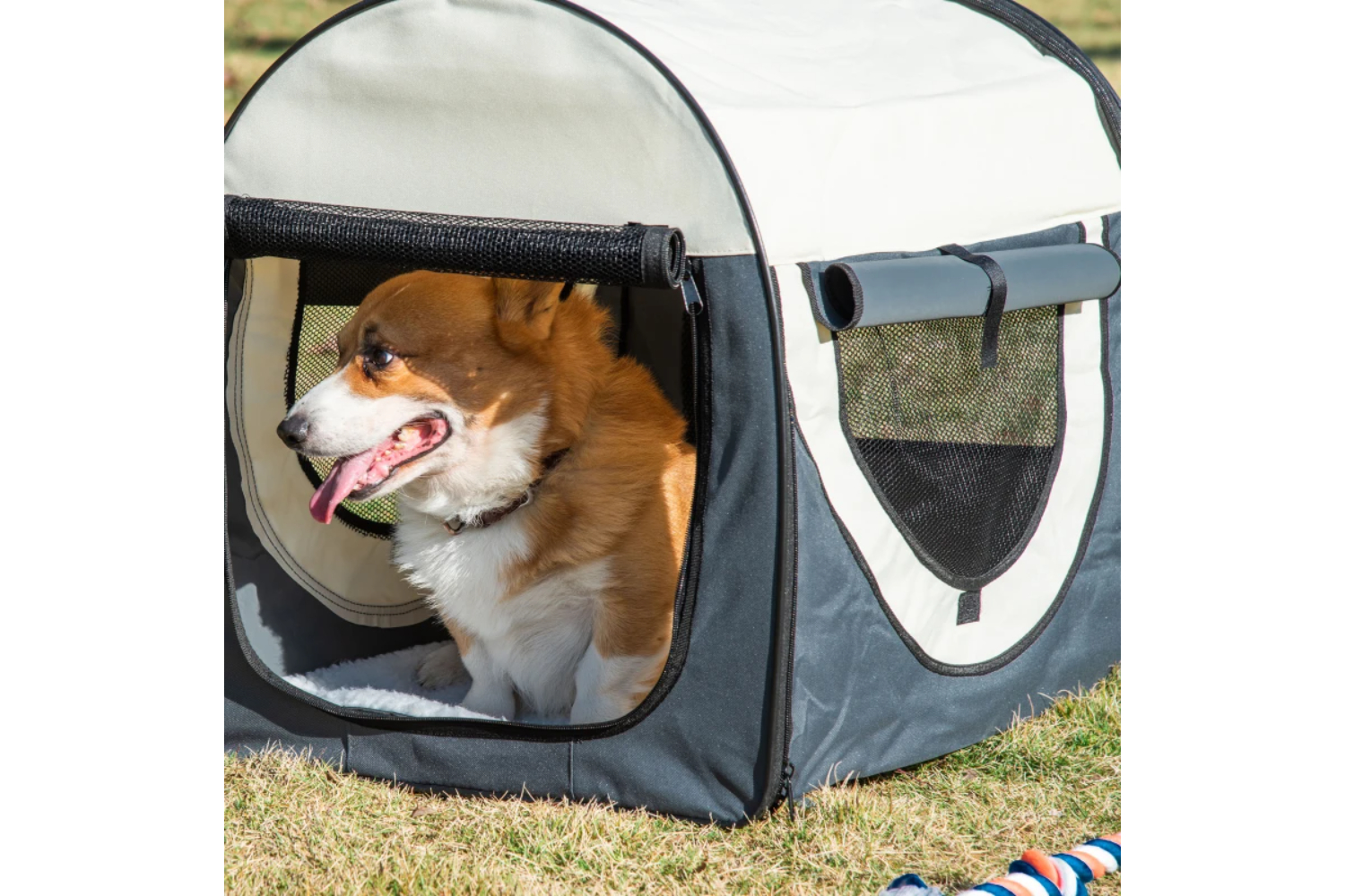 PawHut Small Dog Carrier | Grey