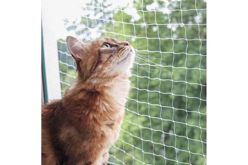 Kerbl 445275 Cat Safety Net 6x3 M Transparent