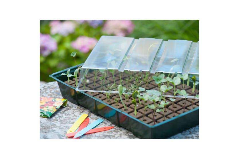 Nature Propagator Mini Kit 7x11 Cells