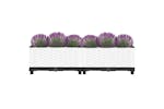 Vidaxl Raised Bed 80x40x23 Cm Polypropylene