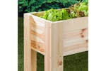 Hi Raised Bed 92x41x80 Cm Pine Wood