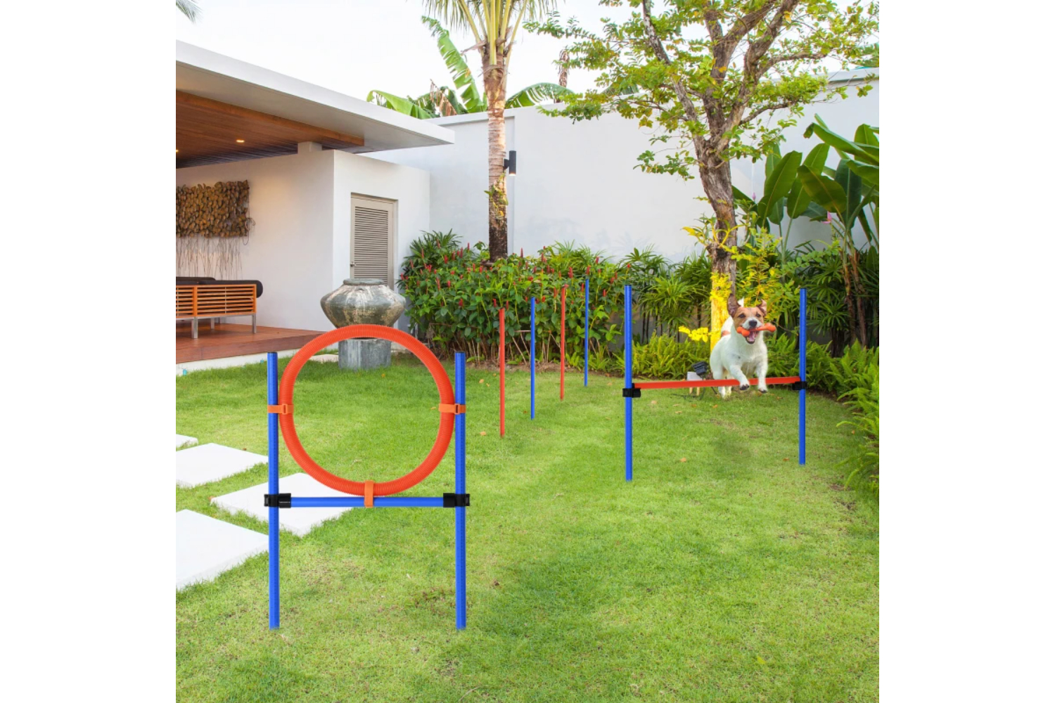 PawHut Dog Adjustable Training Set | Blue/Red