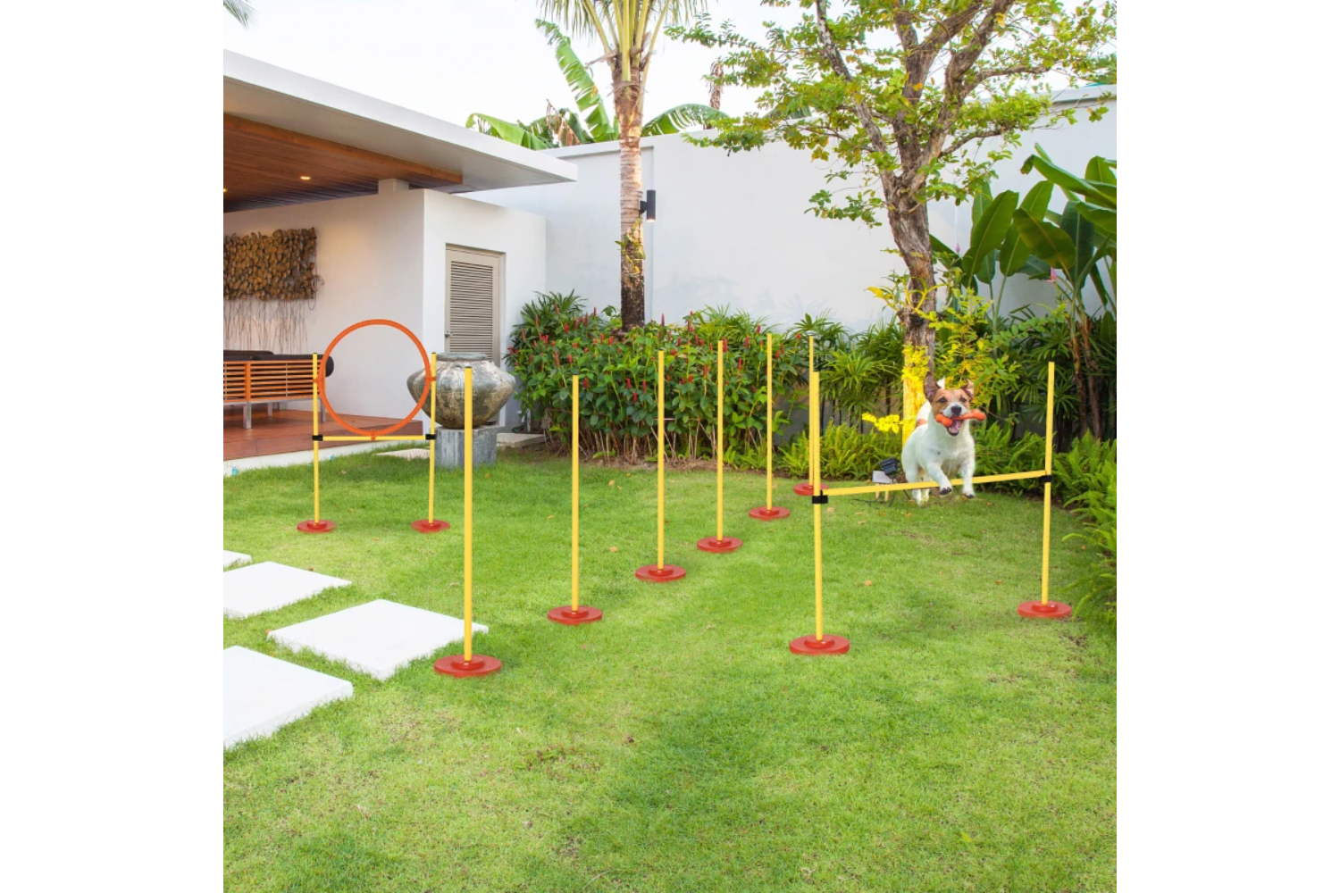 PawHut Plastic 3-Course Dogs Agility Set | Yellow