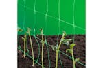 Nature Plant Climbing Netting Green 1x10 M 6030429