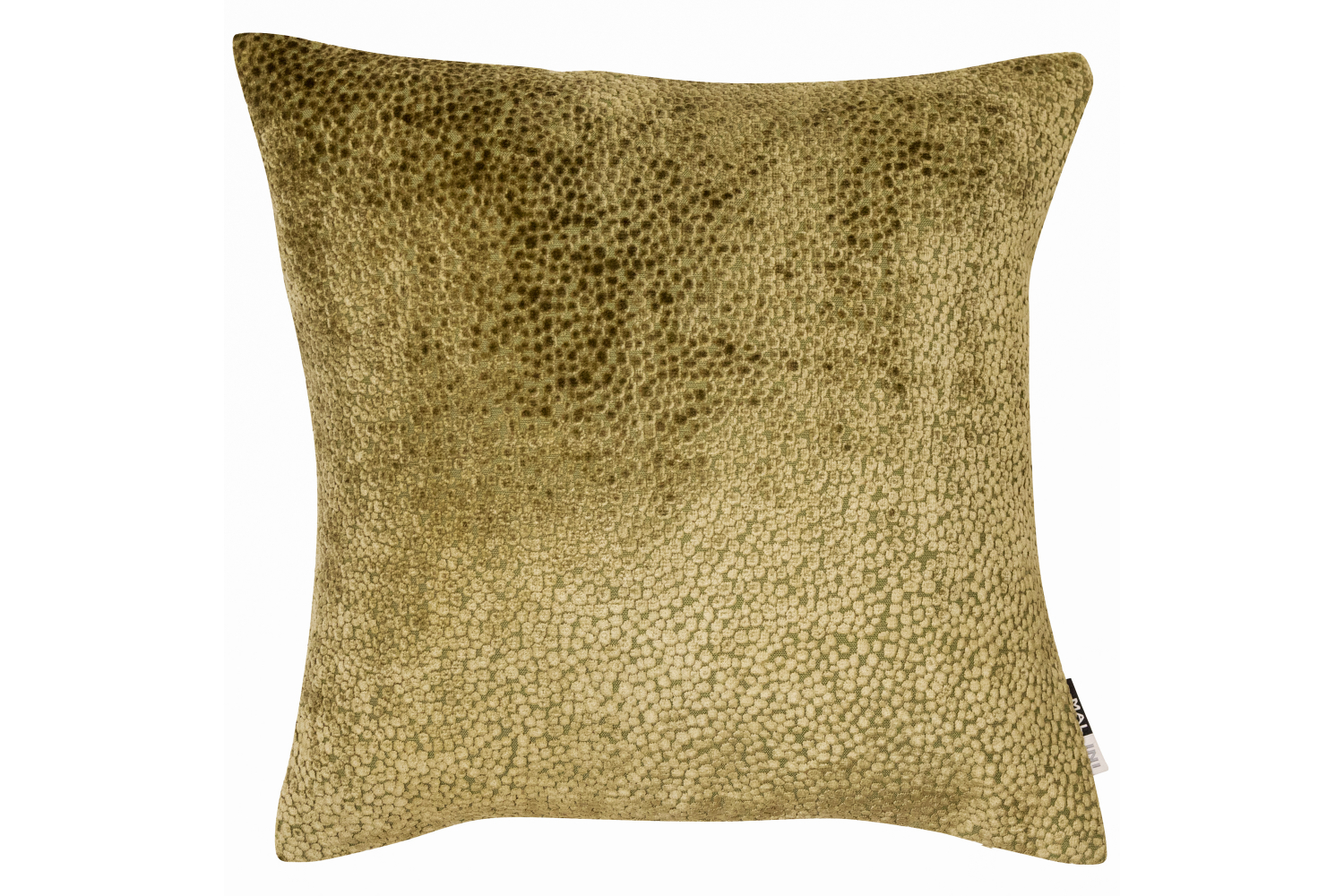 Cut Velvet Dots in Cushion | Olive | 56 x 56 cm