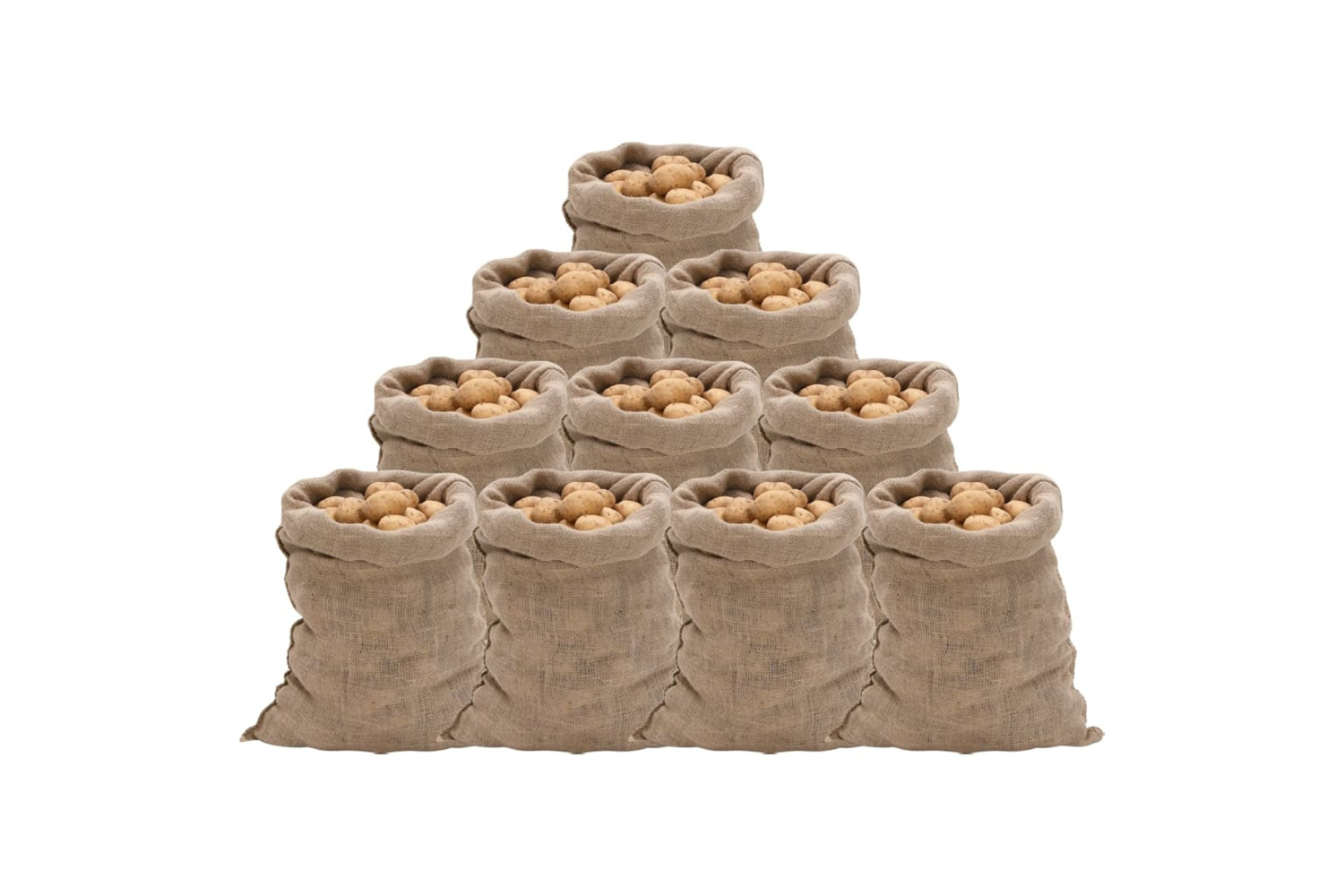 vidaXL 155778 Jute Sacks 10 Pcs 60x105cm 100% Jute 220 Gsm