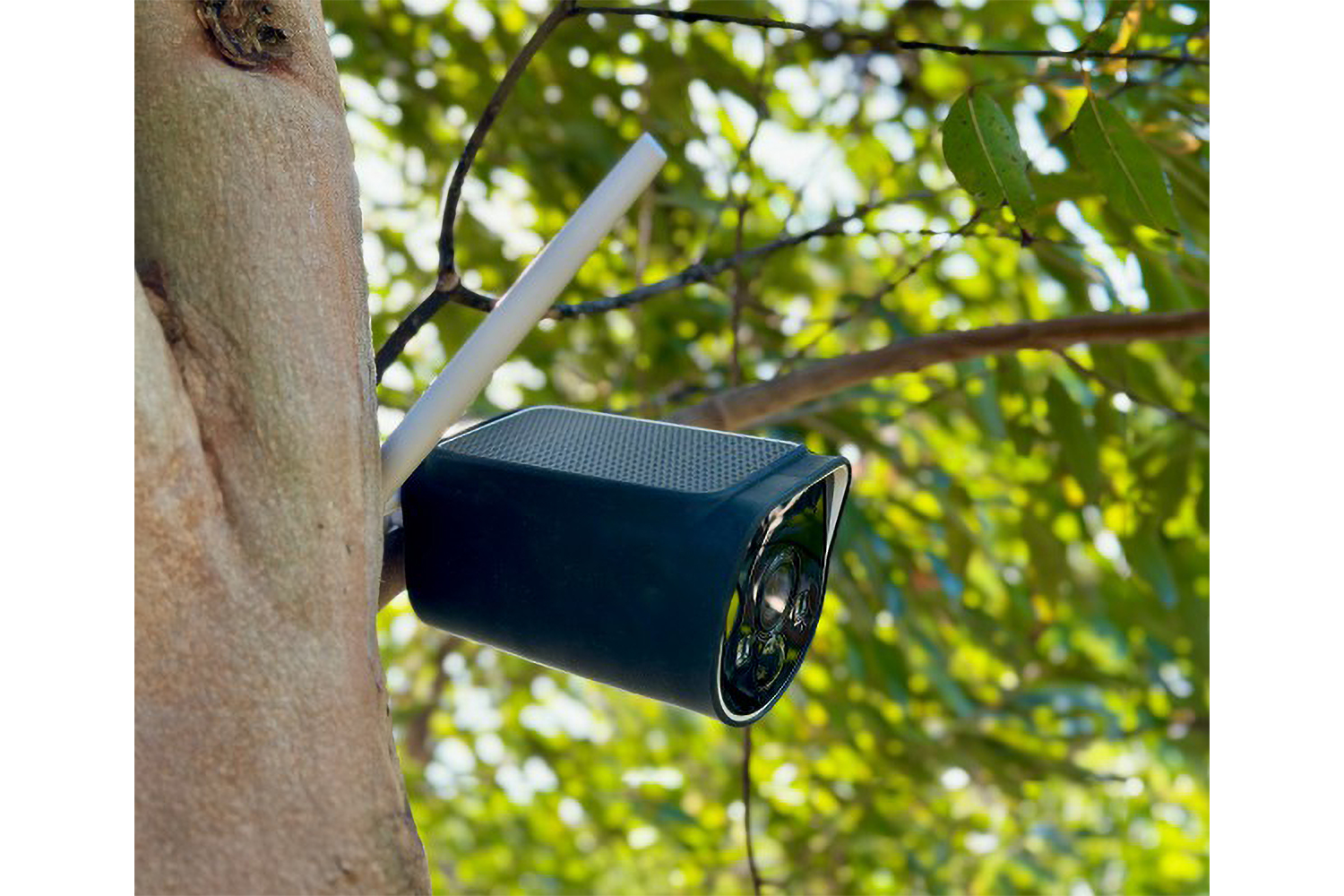 Swann MaxRanger 4K Silicone Cover | Pack of 2