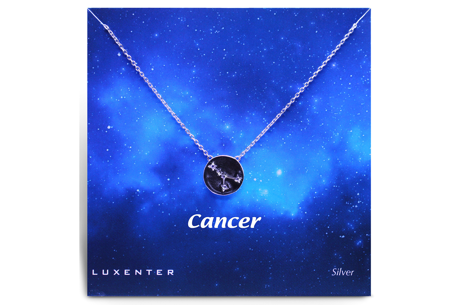Luxenter Sterling Silver Zodiac Necklace