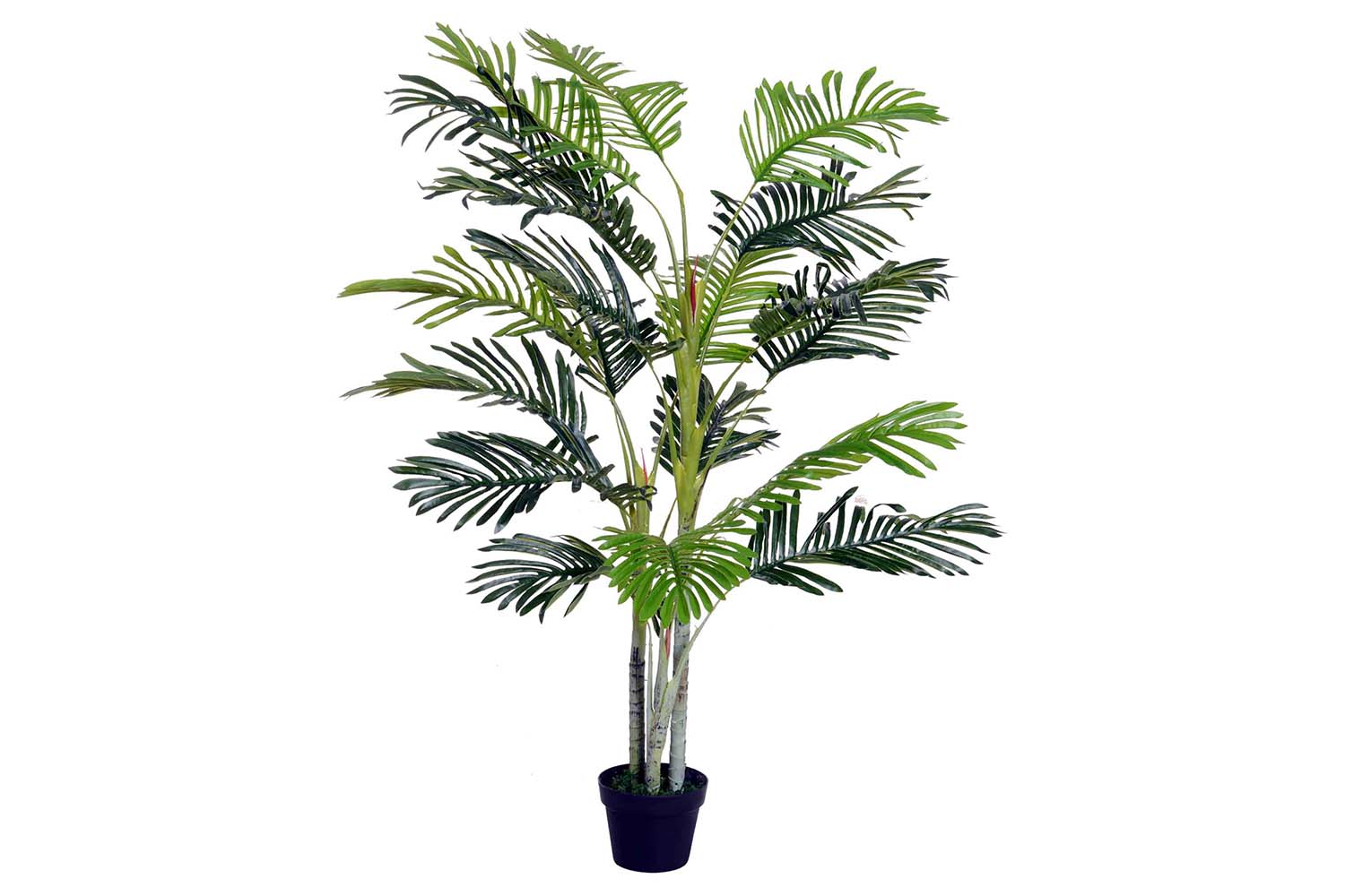 Artificial Palm Tree | 150 cm