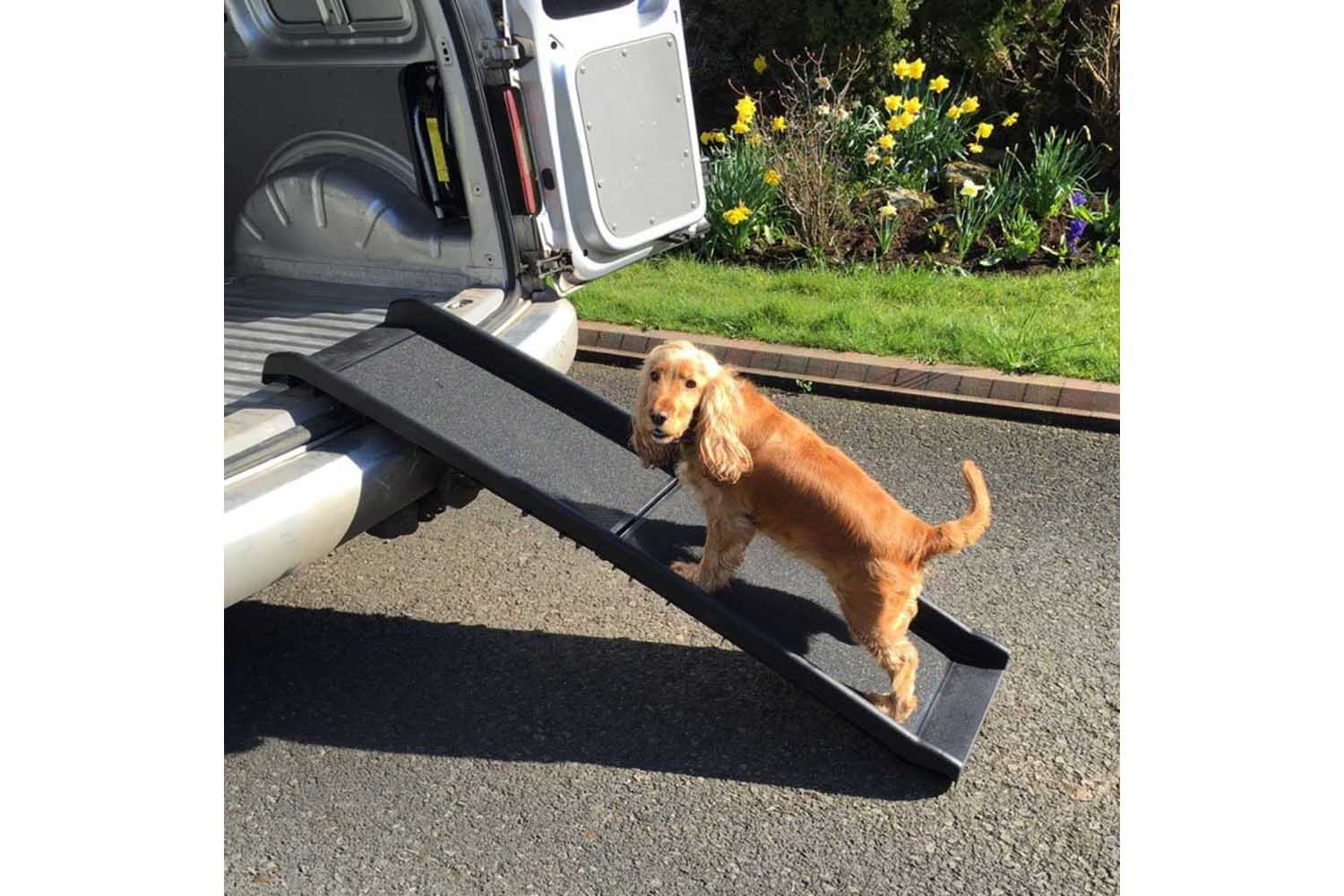 RayGar Pet Ramp Folding & Lightweight | Grey