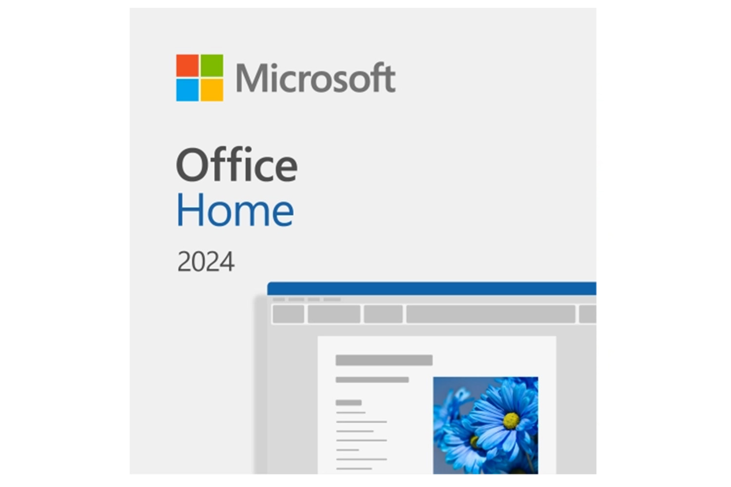 Microsoft Office Home 2024