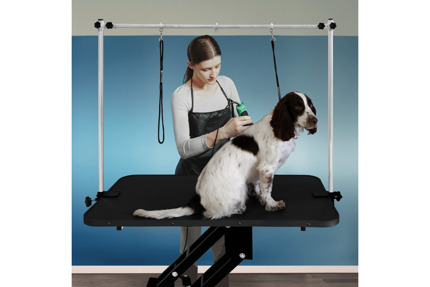 Monstershop Hydraulic Grooming Table | Black