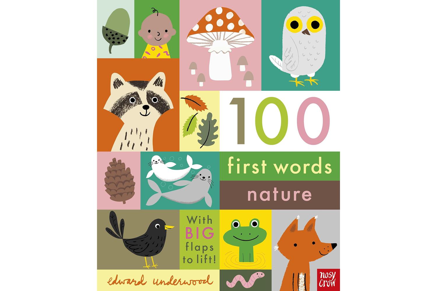 100 First Words: Nature  Fun And Educational Board Book By Nosy Crow