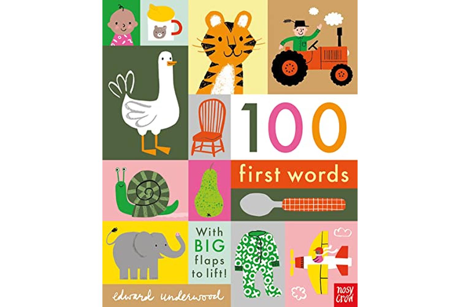 100 First Words: Award-winning Interactive Learning Book By Nosy Crow-