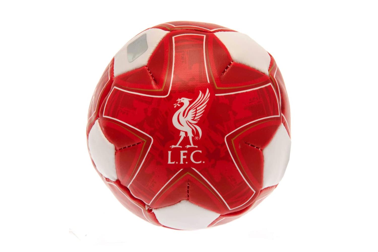 Officially Licensed Crest Text Design Soccer Ball