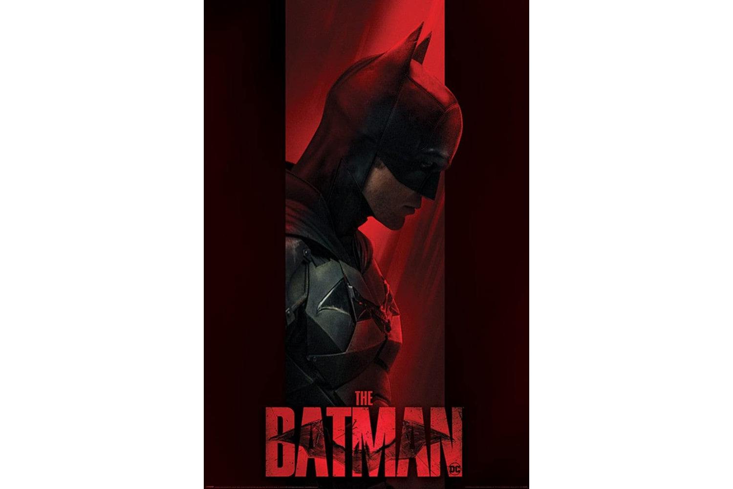The Batman Out Of The Shadows Robert Pattinson Poster