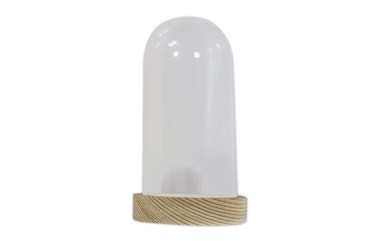 Docrafts Pma 110907 - Plastic Cloche  6 X 12cm