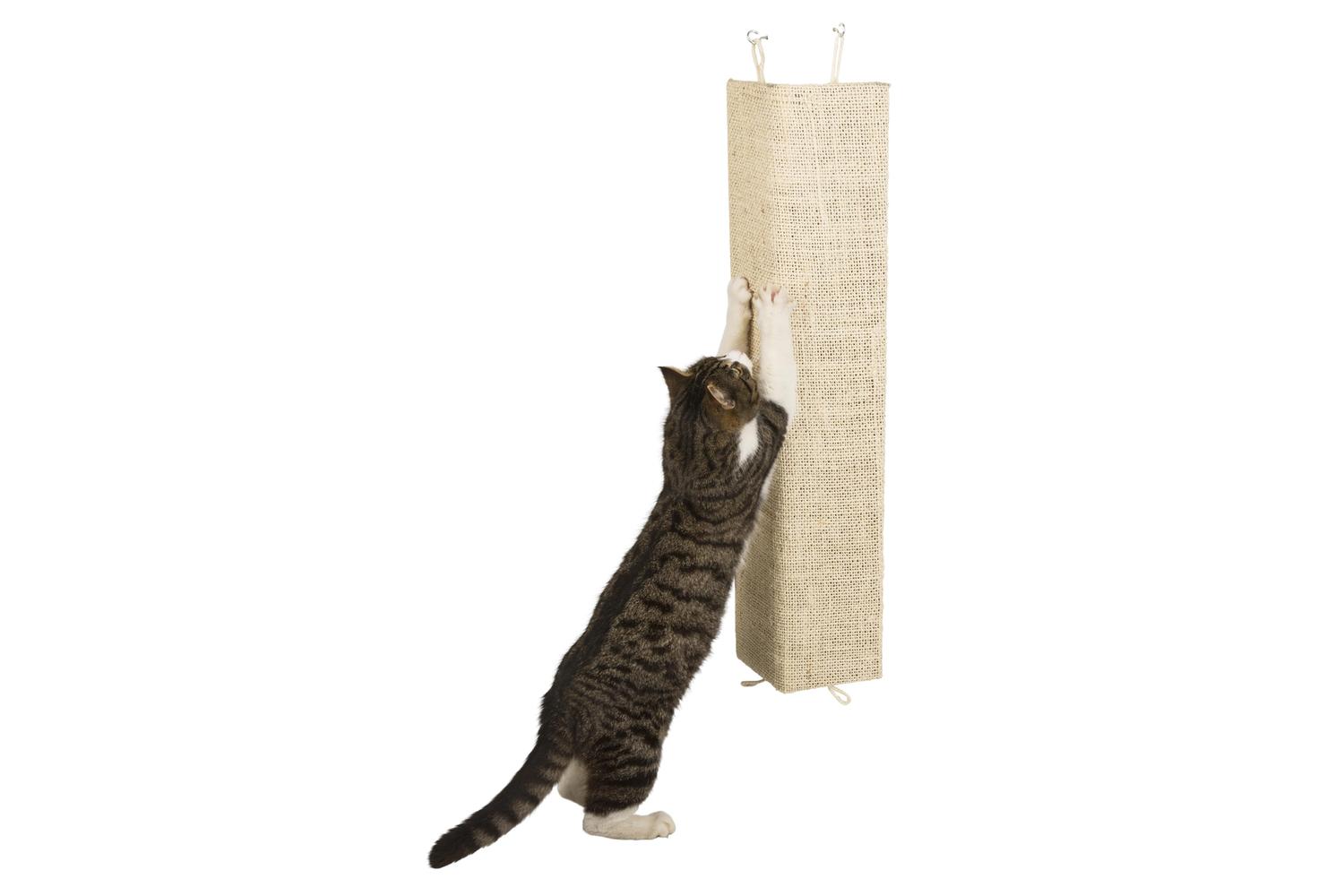 Kerbl Pet Ker-81558 - Scratching Board Kevin 100x56cm, Beige