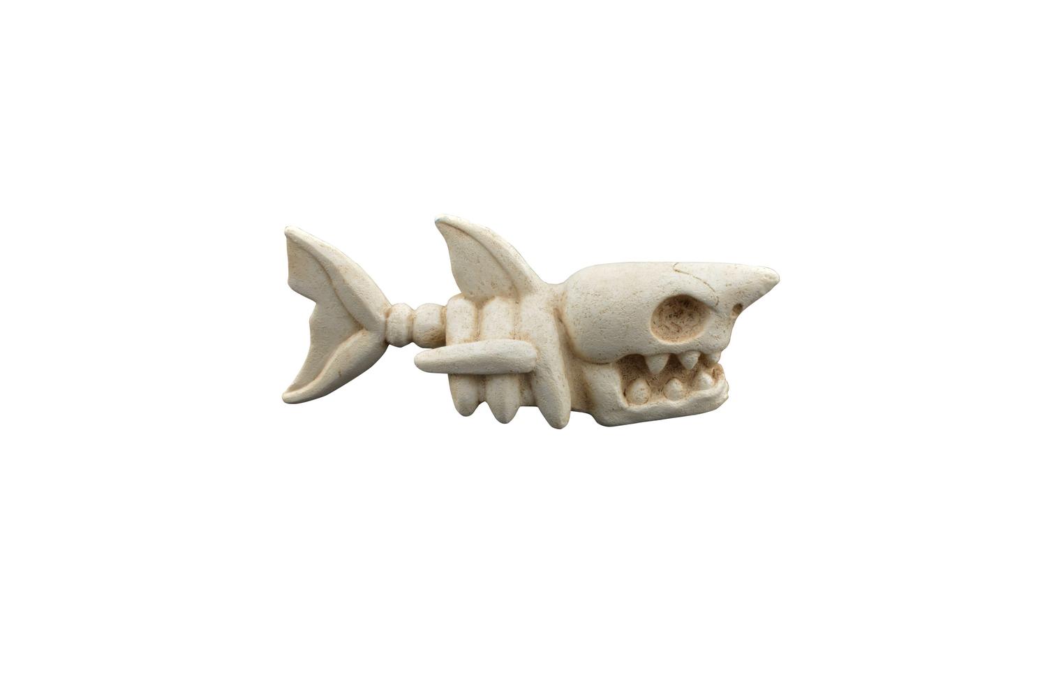 Betta Pei-268138 - Betta Small Shark Skeleton