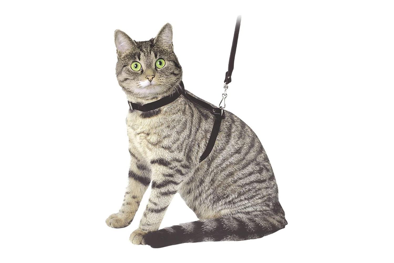 Kerbl Ker-83819 - Cat Harness + Leash 120 Cm Black Suede Lea