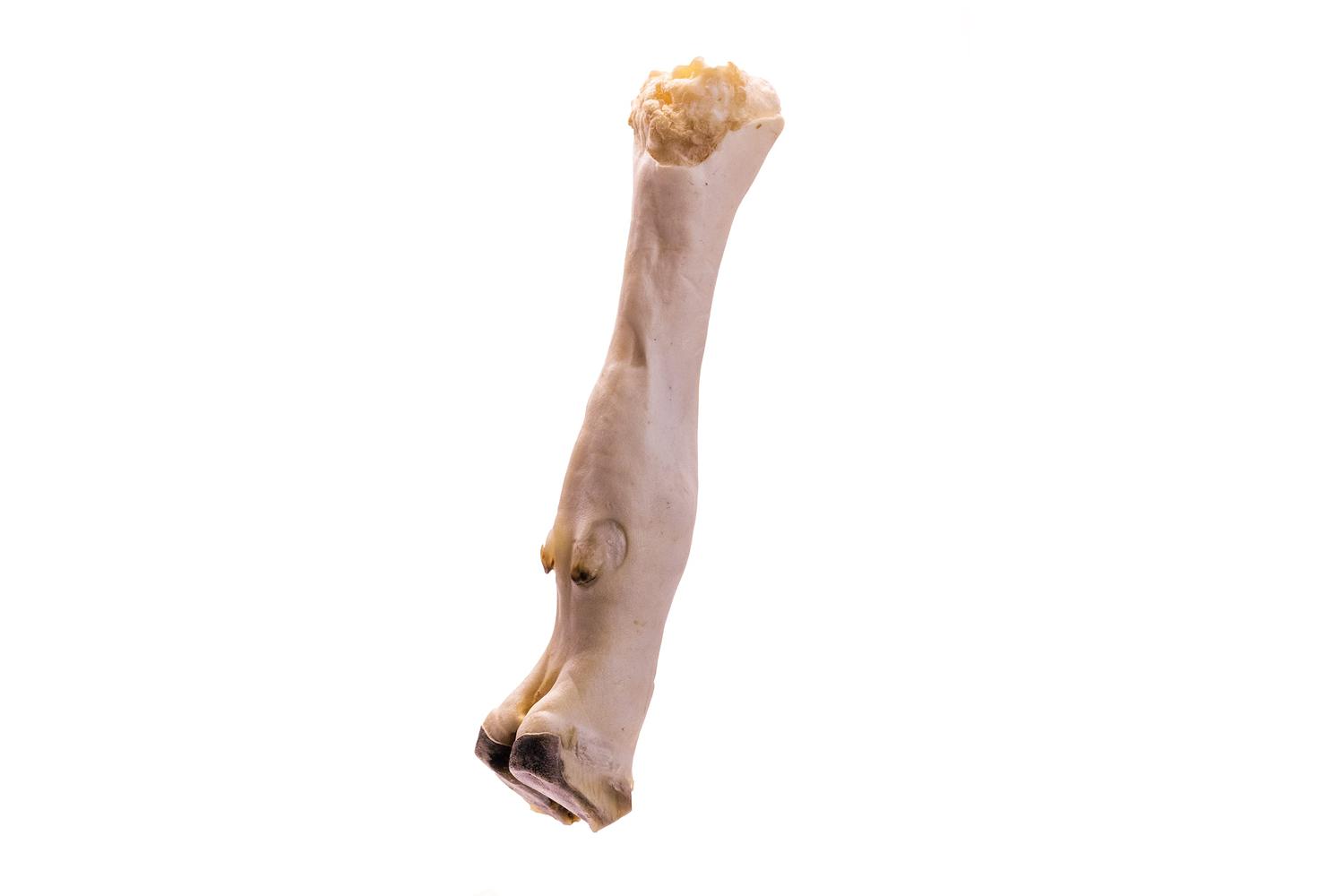 Doodle's Deli Pei-266939 - Doodles Deli Air Dried Goat Foot 